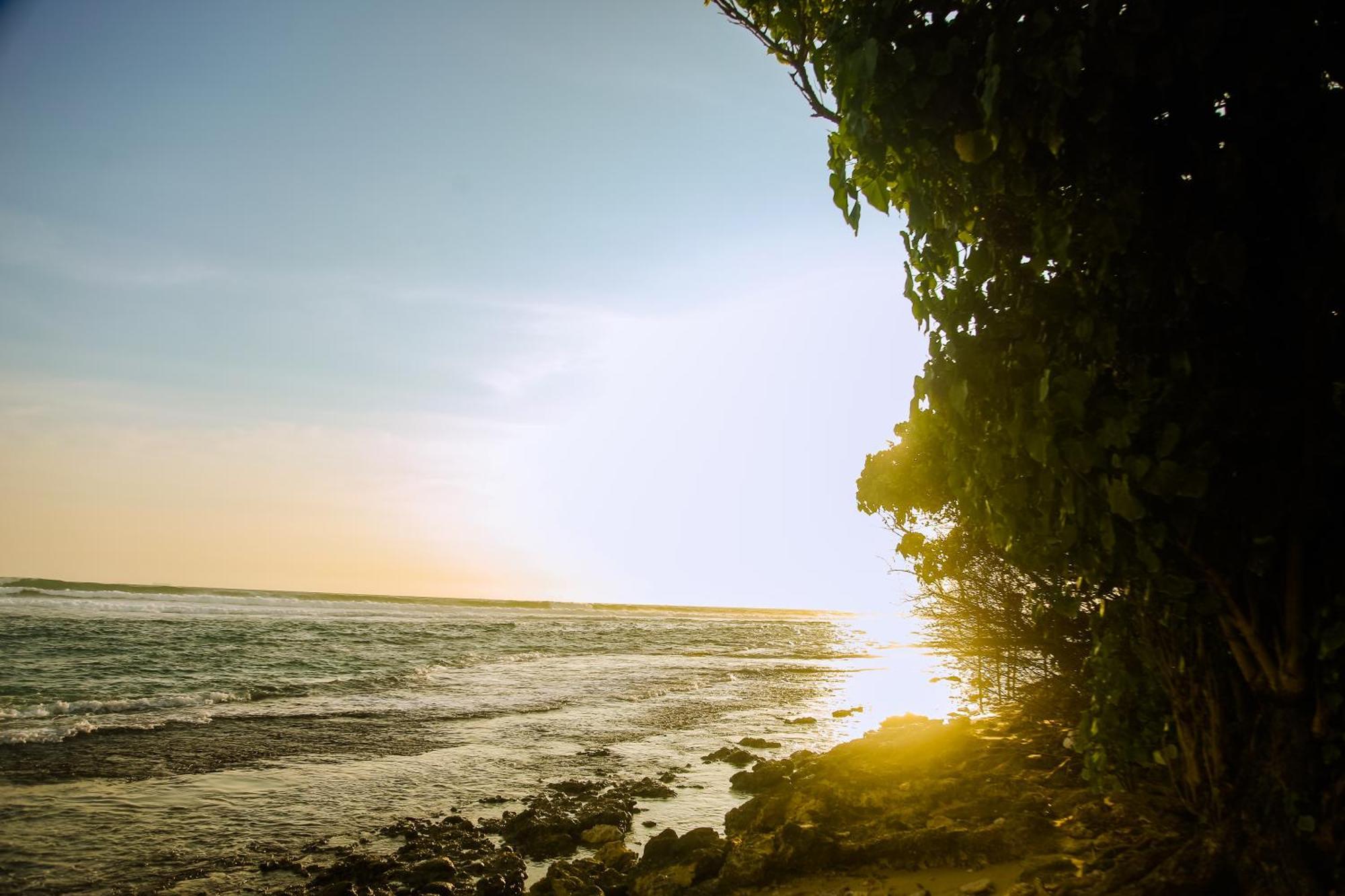 Mirissa Turtle Point Guest Hotel Luaran gambar