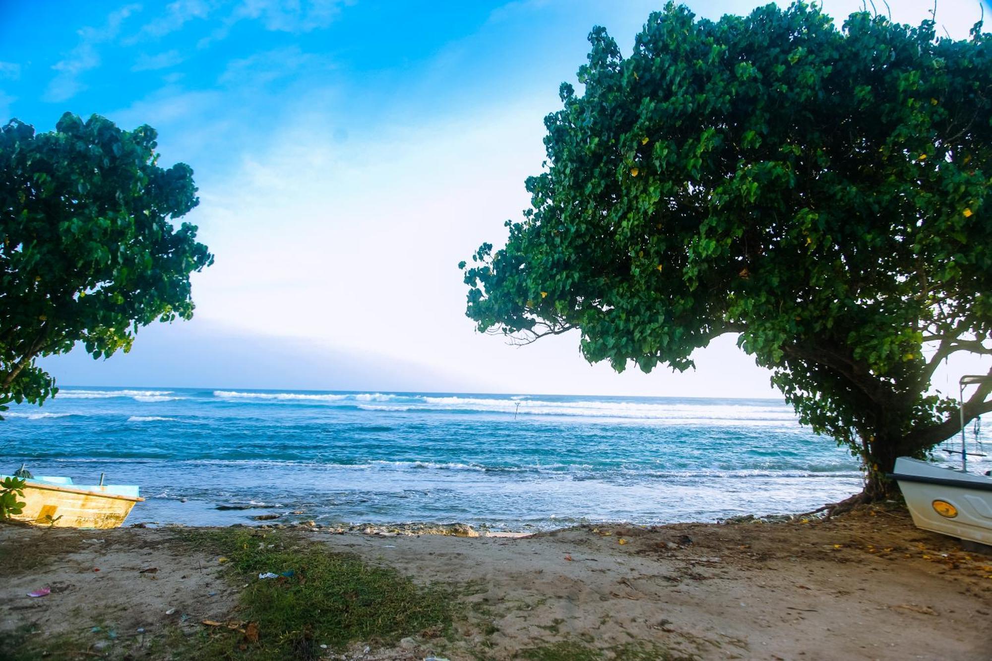 Mirissa Turtle Point Guest Hotel Luaran gambar