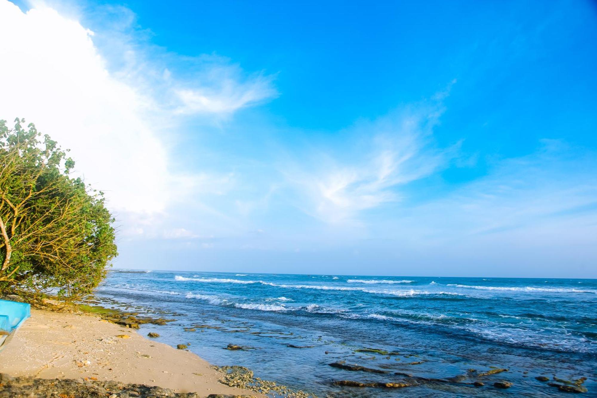 Mirissa Turtle Point Guest Hotel Luaran gambar